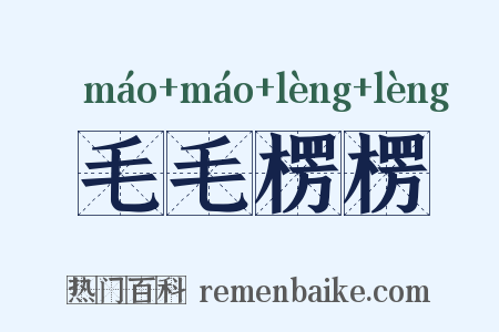 毛毛楞楞是什么意思的图片